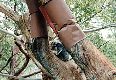 2000 - Australie 107T